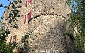 Le Chateau De Sorgues